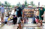 Giảm đơn hàng ở Mỹ, thủy sản Việt Nam tìm "cửa sáng" ở Trung Quốc, Anh