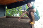 Bình Định: Nuôi trùn quế, làm phân bón trùn quế bán trên sàn điện tử, thợ điện 9X rủng rỉnh tiền tiêu