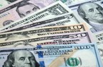 Tỷ giá USD ngày 13/3/2023 tiếp tục giảm