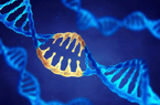 Kỹ thuật CRISPR có thể là “cứu tinh” giúp cây lúa chống lại biến đổi khí hậu