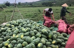 73 cơ sở Hội Nông dân tại Phú Yên đã hoàn thành Đại hội nhiệm kỳ 2023 - 2028