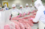 Hàn Quốc đột nhiên tăng mua một loài cá của Việt Nam,  
sức mua tăng đến 457%