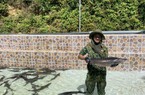 Đây là nông dân đầu tiên ở Thừa Thiên Huế đầu tư nuôi "cá tàu ngầm" có xuất xứ Siberi