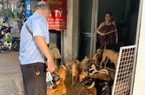 Hơn 30 hộ dân khổ sở vì sống cạnh căn nhà nuôi gần 100 con chó