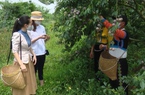 Nông dân hưởng lợi cao nhờ áp dụng khoa học kỹ thuật
