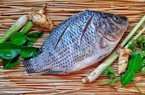 Một loài cá của Trung Quốc đã "bơi" đến 100 thị trường, cạnh tranh với cá tra Việt Nam ở Mỹ