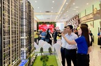 Nhà đầu tư TP.HCM săn đón dự án bất động sản chuẩn pháp lý