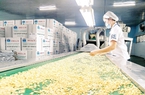 Việt Nam là nguồn cung lớn nhất một loại hạt cho Mỹ, Trung Quốc nhưng cũng nhập lượng lớn hạt này từ Campuchia