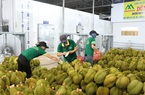 Trung Quốc tăng tốc tiêu thụ nông sản, nhiều doanh nghiệp nhu cầu thu mua hàng chục nghìn tấn