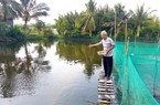 Nuôi thứ cá mang tỷ đô cho Việt Nam, ông nông dân Sài Gòn quê Đồng Tháp cứ bán là trúng