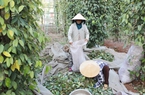 "Mỏ vàng" từ nhiều loại cây gia vị quý đang bị lãng phí