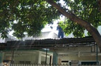 Nhà máy đường Phan Rang hoàn thành khắc phục và kiểm soát tro bụi tại địa phương