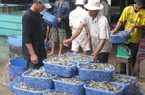 Thuế nhập khẩu nguyên liệu thức ăn "đè" ngành chăn nuôi, thủy sản