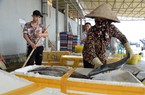 Nam Định quyết tâm gỡ thẻ vàng IUU: Xử phạt tiền tỷ nhiều tàu cá vi phạm khai thác thủy sản (Bài cuối)
