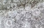 Cảnh báo về virus 'nguy hiểm hơn Covid-19' trong bối cảnh Trái đất nóng lên