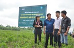 Hoàn thiện chính sách cho kinh tế tuần hoàn 