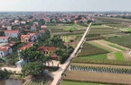 Nguyên nhân khiến nhiều phiên đấu giá đất tổ chức không thành công?