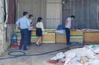Khánh Hòa: Tiêu hủy 7 tấn thịt, nội tạng heo không có nguồn gốc
