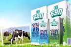 Sữa quốc tế (IDP) dự trình kế hoạch lợi nhuận thận trọng, giảm 4%