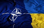 Dấu hiệu NATO đã chán Ukraine
