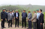 Trưởng Ban Kinh tế Trung ương Trần Tuấn Anh: Quảng Ninh cần kết hợp phát triển kinh tế rừng và biển