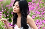 Một trong 5 điểm đến quốc tế có lượng tìm kiếm nhiều nhất gọi tên Việt Nam