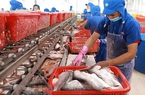 Tháng 3 giá cá tra duy trì ở mức cao, sản lượng thu hoạch đạt 128,6 nghìn tấn, tăng 2,5%