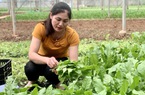 Một xã ở Hà Nội không có hộ nghèo, nhiều hộ xây được biệt thự nhờ phát triển mô hình này
