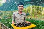 Những tấm gương nông dân nghị lực vượt khó