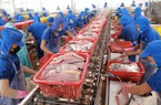Xuất khẩu cá tra, tôm giảm 38%: Doanh nghiệp không có đơn hàng mới