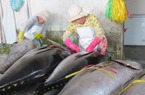 Liên kết chuỗi giá trị giúp nông dân tăng vị thế đàm phán, cạnh tranh