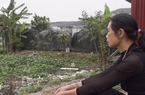 Bắc Ninh: Người dân kêu cứu vì mua đất giãn dân 20 năm vẫn không được sử dụng