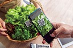 Số hóa truy xuất nguồn nông sản