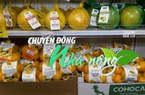 Chuyển động Nhà nông 6/3: Đặc sản cam Cao Phong của Việt Nam ra mắt tại thị trường Anh