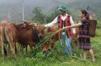 Quảng Nam: Có vốn ưu đãi “tiếp sức”, người dân Tây Giang mạnh dạn xây dựng các mô hình kinh tế để thoát nghèo