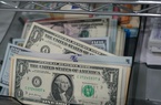 Sự trở lại của đồng USD
