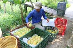 Nâng tầm đặc sản Đồng bằng sông Cửu Long