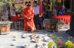 Cúng Việc lề dịp tết Thanh minh của các dòng họ ở Long An, mâm cúng có cá lóc nướng, đầu heo luộc