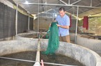 Một nông dân nuôi lươn dày đặc quy mô lớn nhất tỉnh Hòa Bình, nhiều người kéo đến xem