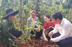 Thứ "cây đổi đời" ở Đắk Nông là cây gì mua 1 cây giống bé thôi mất 600.000 đồng, ra hạt bán đắt hàng?