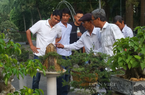 Tiền từ Quỹ Hỗ trợ nông dân đang tạo nhiều việc làm cho nông dân Đà Nẵng