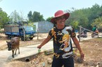 Trao tặng 30 con bò cho các hộ dân có hoàn cảnh khó khăn trên địa bàn vùng biên Kon Tum