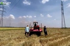 Trúng vụ lúa, nông dân Đồng Nai vẫn không trọn vẹn niềm vui 
