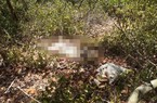 Phát hiện thi thể người phụ nữ đang phân hủy trong rừng