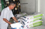 Giá "đầu vào" tăng cao, giá "đầu ra" thấp tè dưới giá thành, nông dân chăn nuôi heo, gà chỉ than "lỗ nặng"