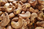 Nguy cơ mất trắng 5 lô hạt điều xuất khẩu trị giá 11 tỷ đồng tại Algeria, doanh nghiệp Việt lo sốt vó