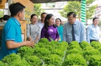 Hoa lan, cây cảnh tham gia triển lãm sản phẩm nông nghiệp tiêu biểu TP.HCM 