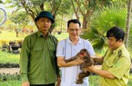 Được tặng 2 cá thể động vật hoang dã quý hiếm để nuôi cảnh, người đàn ông có hành động bất ngờ 