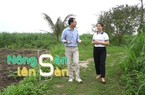 NÔNG SẢN LÊN SÀN: Về Hà Nam tìm dòng sữa ngọt lành