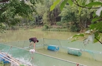 Nuôi loài cá đặc sản có xuất xứ từ Hoa Kỳ trong lồng bè ở huyện Văn Quan của Lạng Sơn